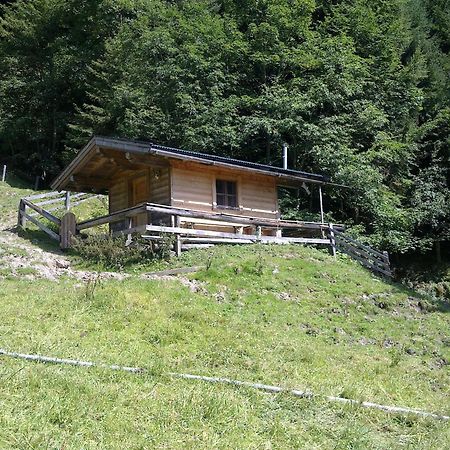 Haus Theresia アルプバッハ エクステリア 写真