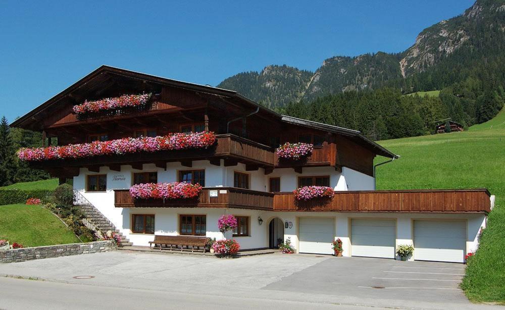 Haus Theresia アルプバッハ エクステリア 写真
