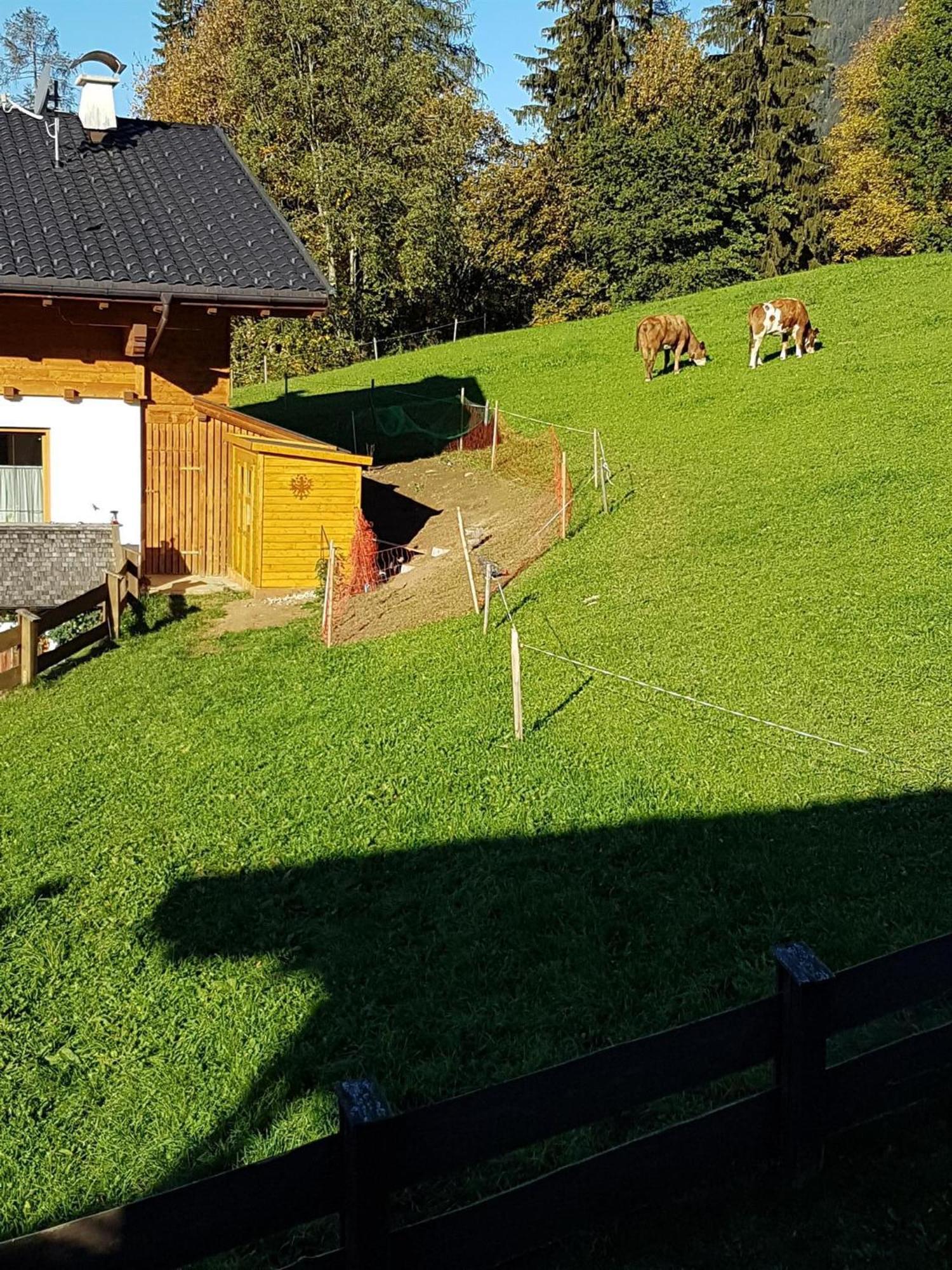 Haus Theresia アルプバッハ エクステリア 写真