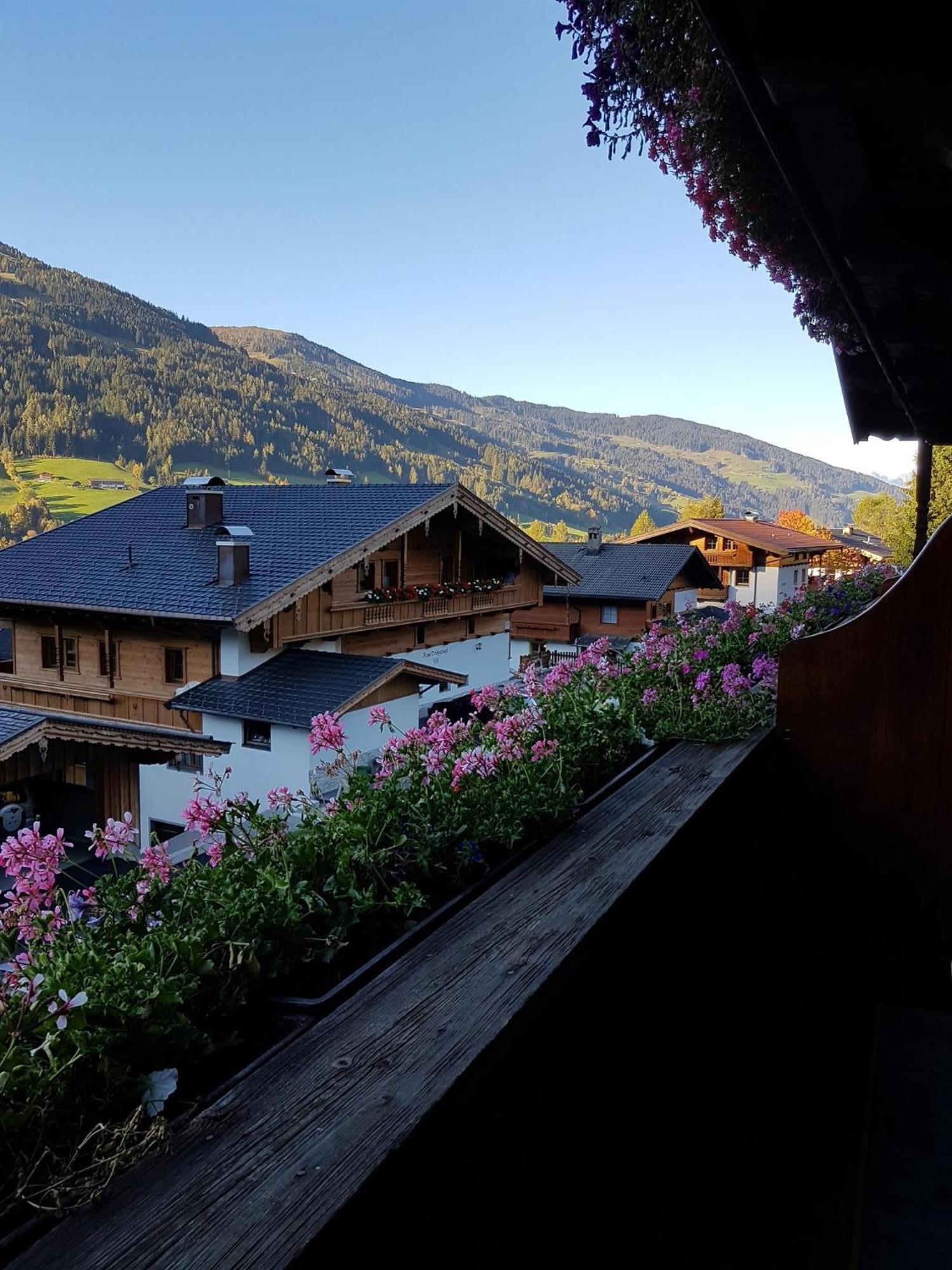 Haus Theresia アルプバッハ エクステリア 写真